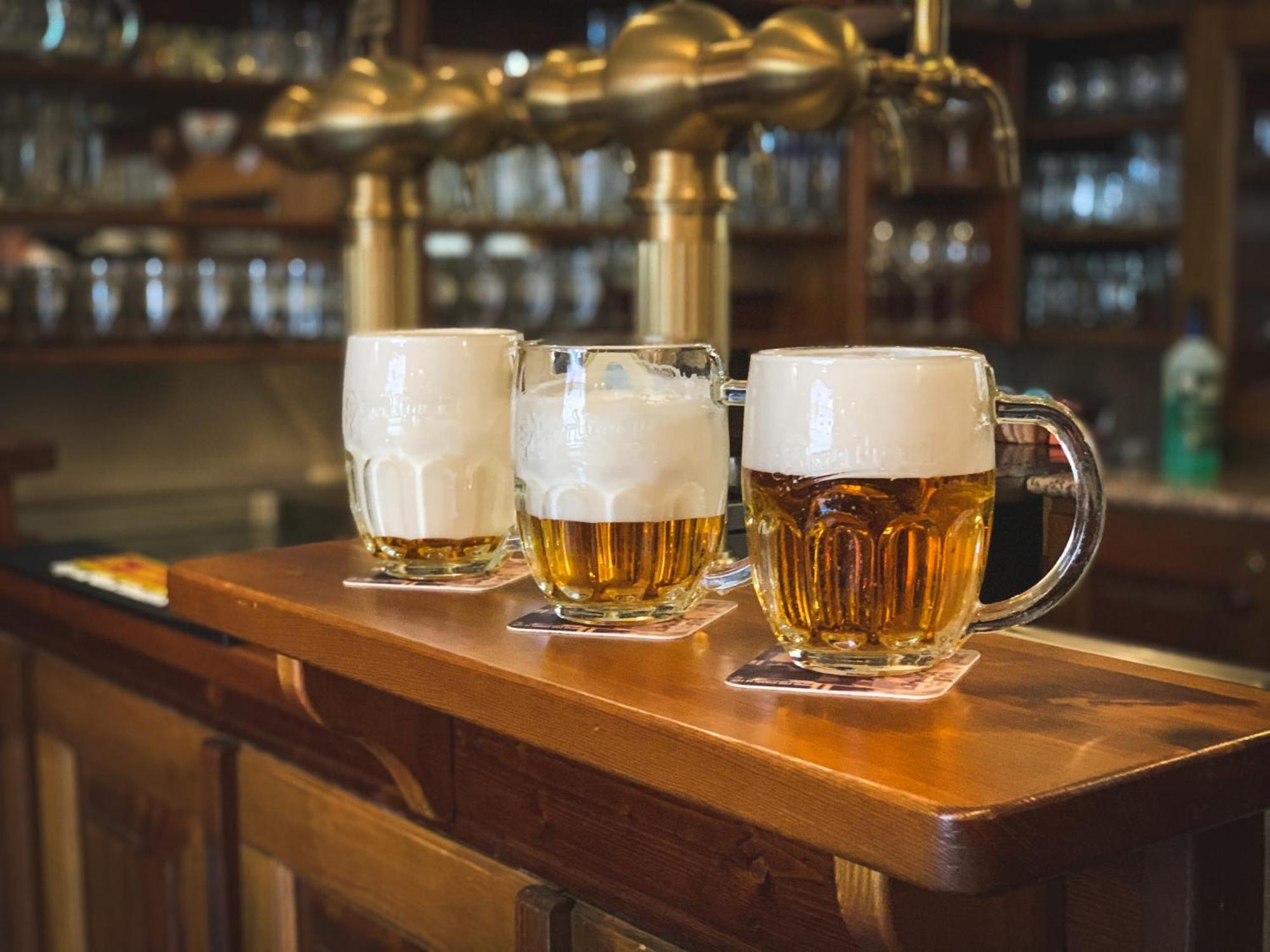 Hotel U Zeleneho Stromu Nepomuk Kültér fotó